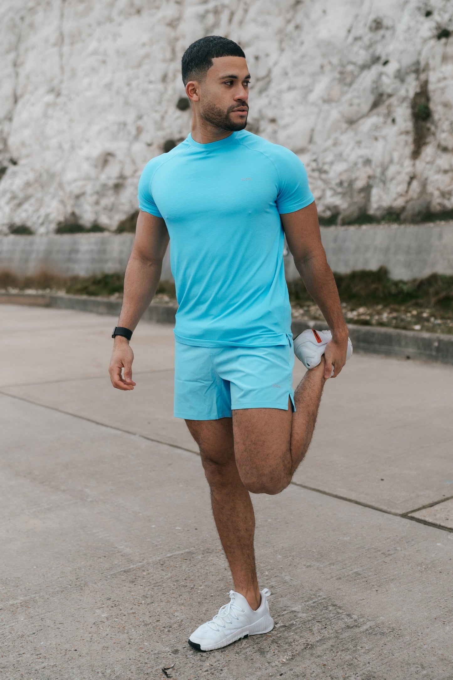 Iconic Active Shorts