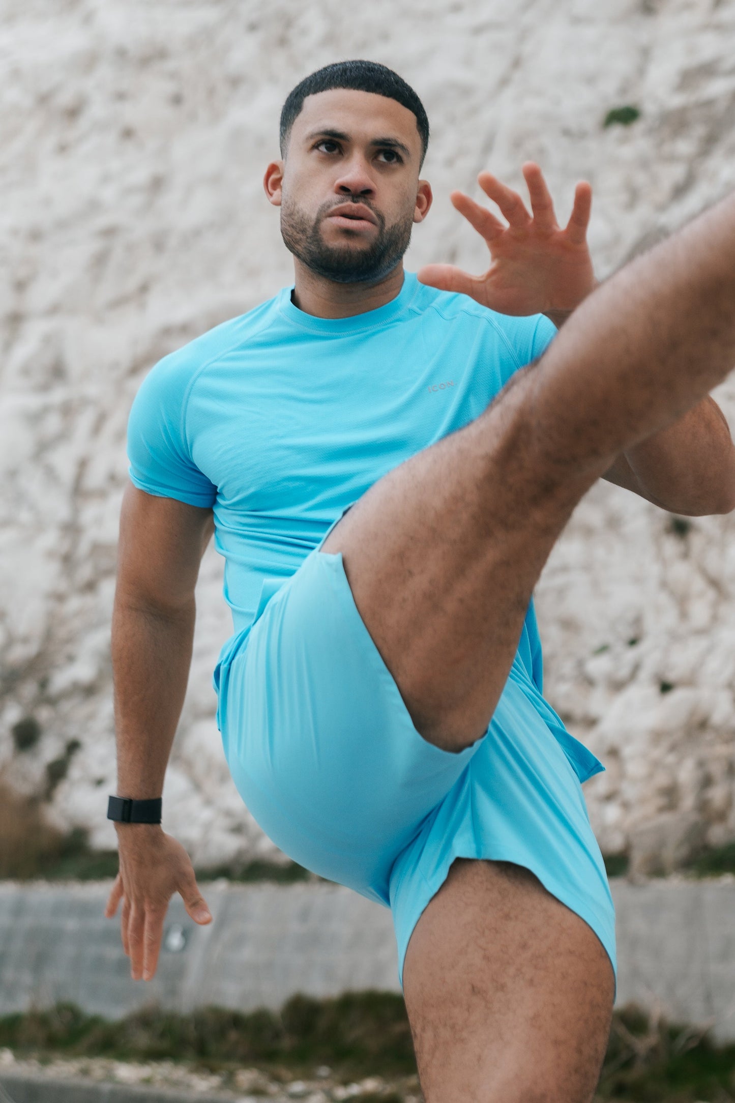 Iconic Active Shorts