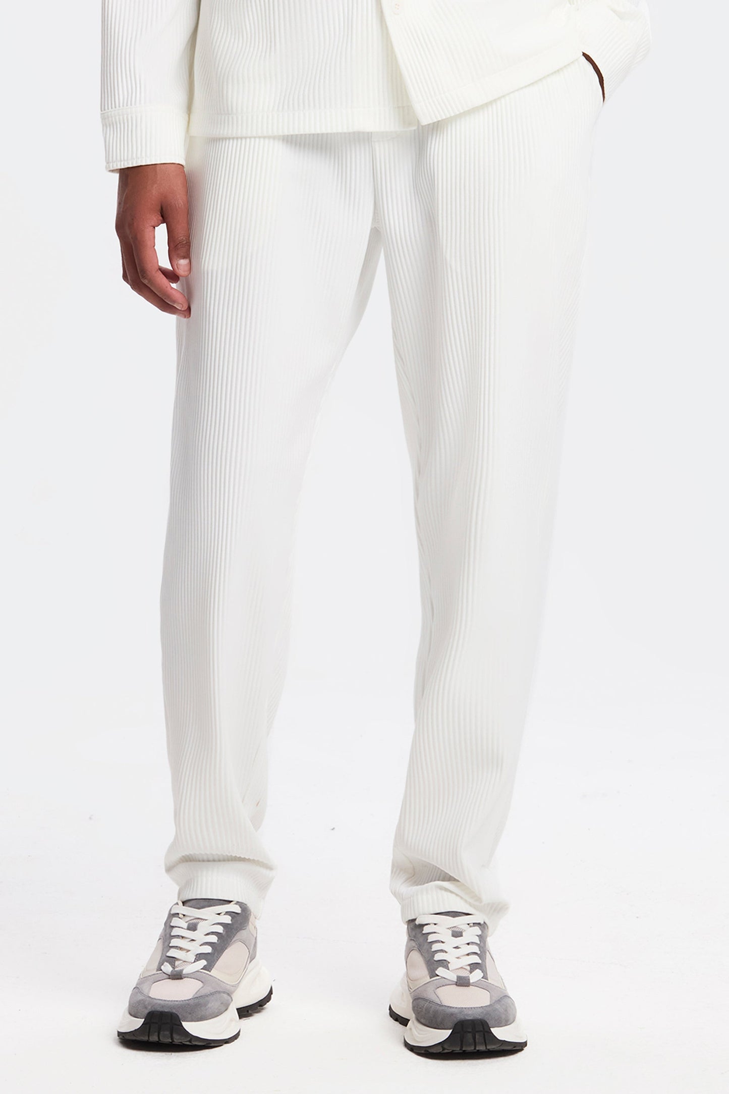 Pleated Trousers