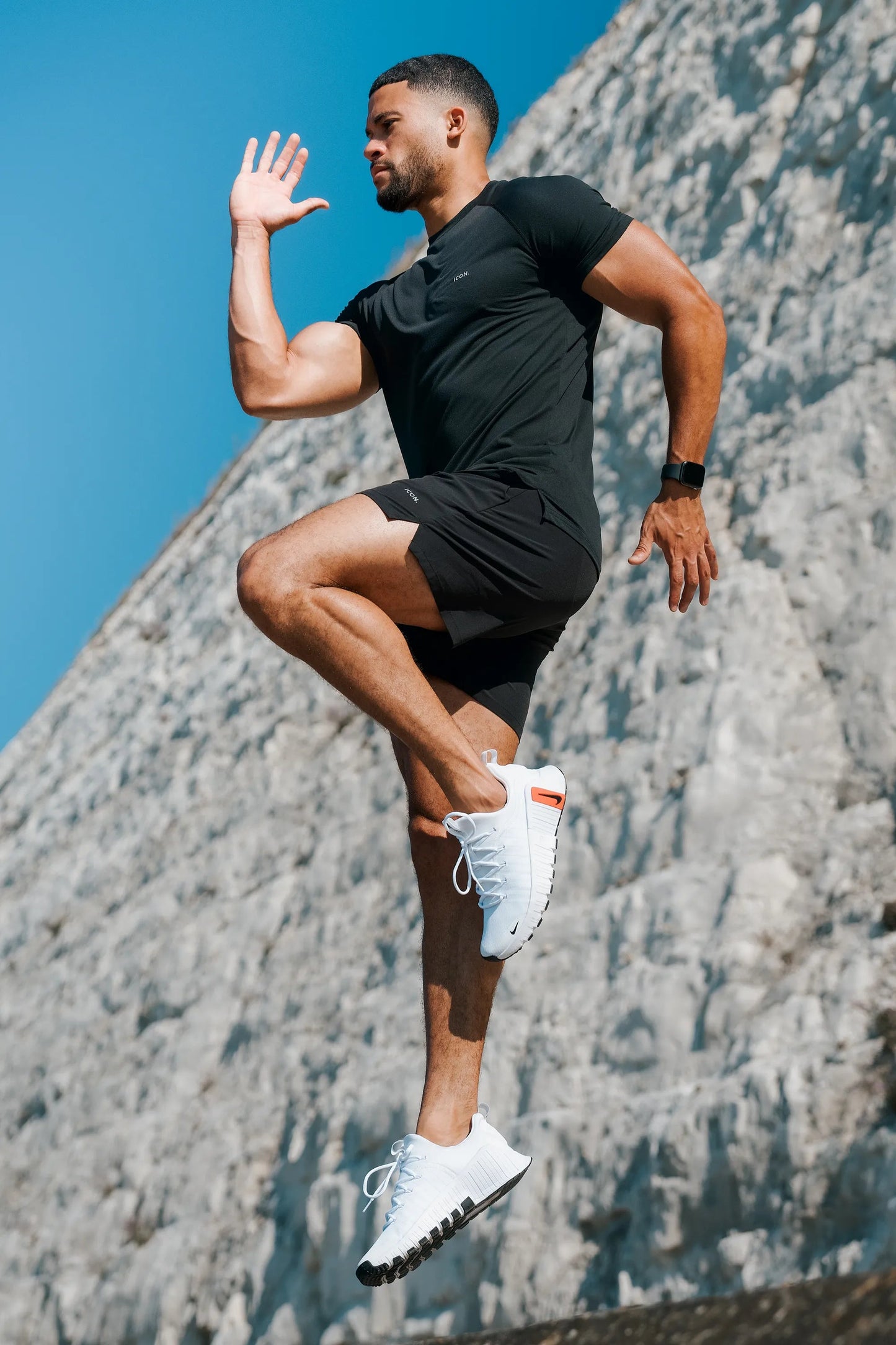 Iconic Active Shorts