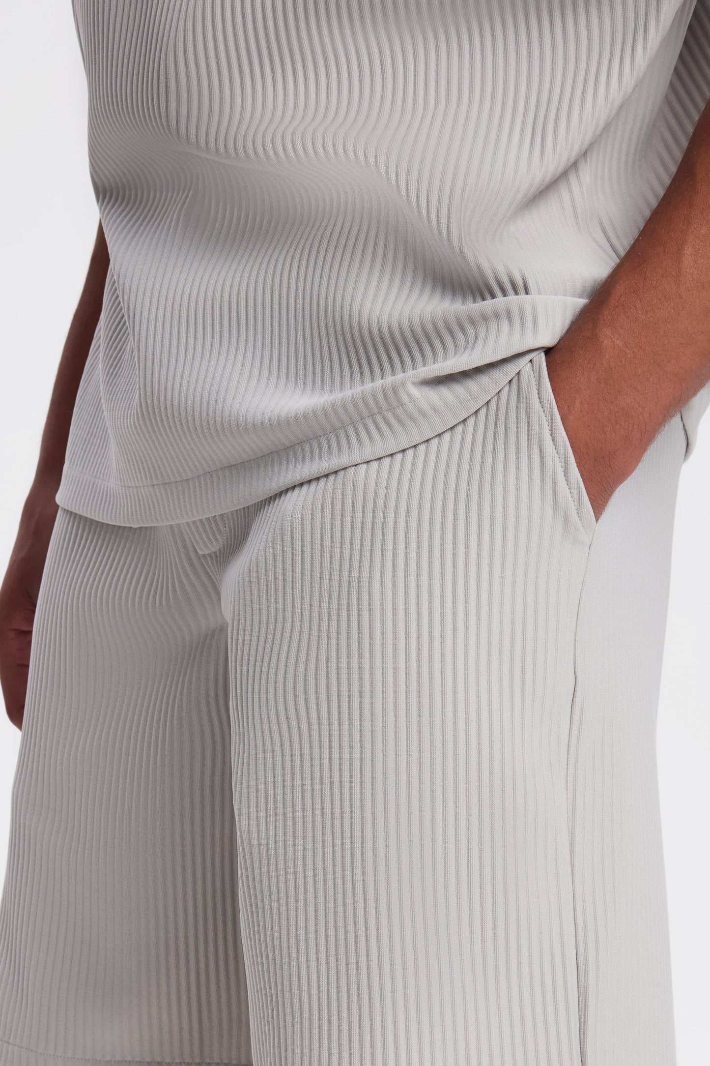 THE PLEATED SHORTS