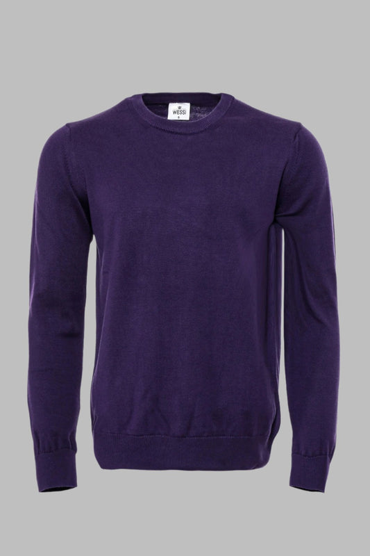 Crew Neck Long Sleeves Plain Purple Men Knitwear