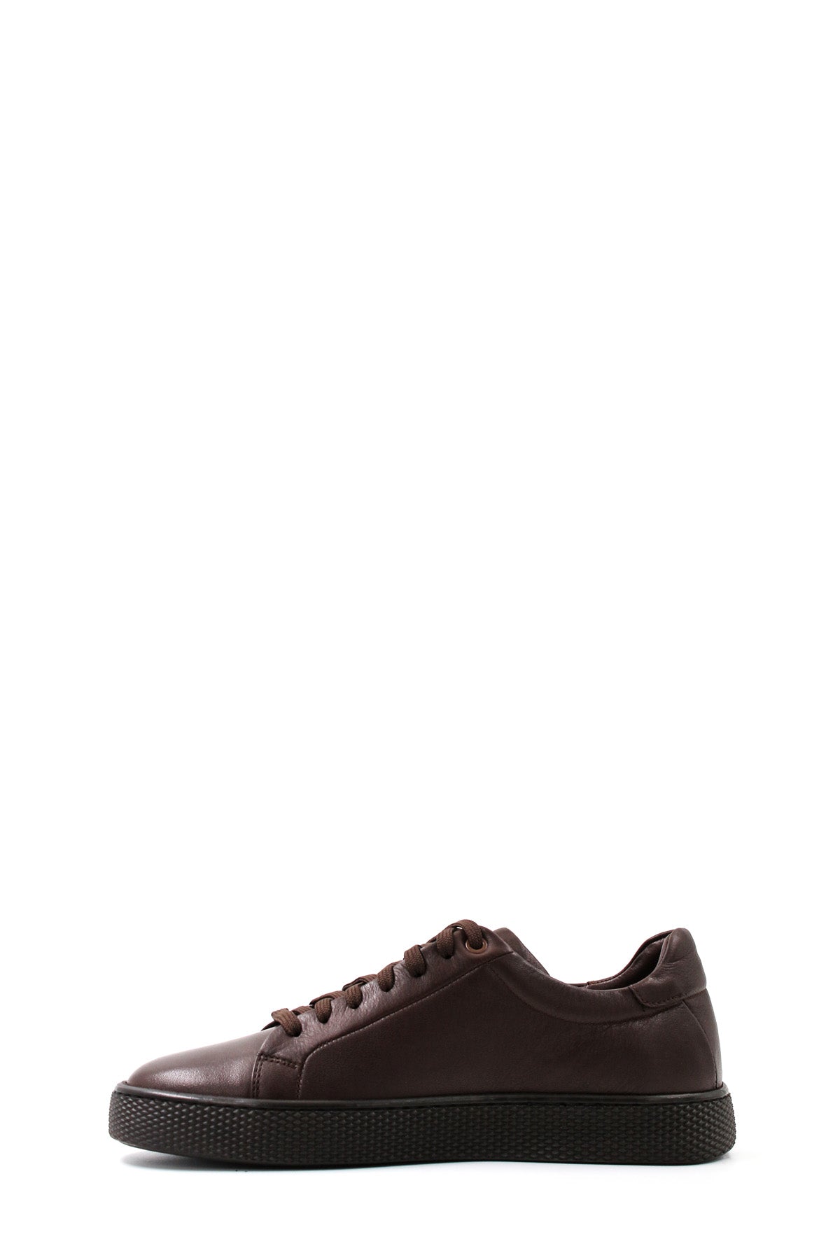 KOALA SYDNEY Men's Classic Brown Leather Sneakers with Sturdy Sole and Minimalist Design