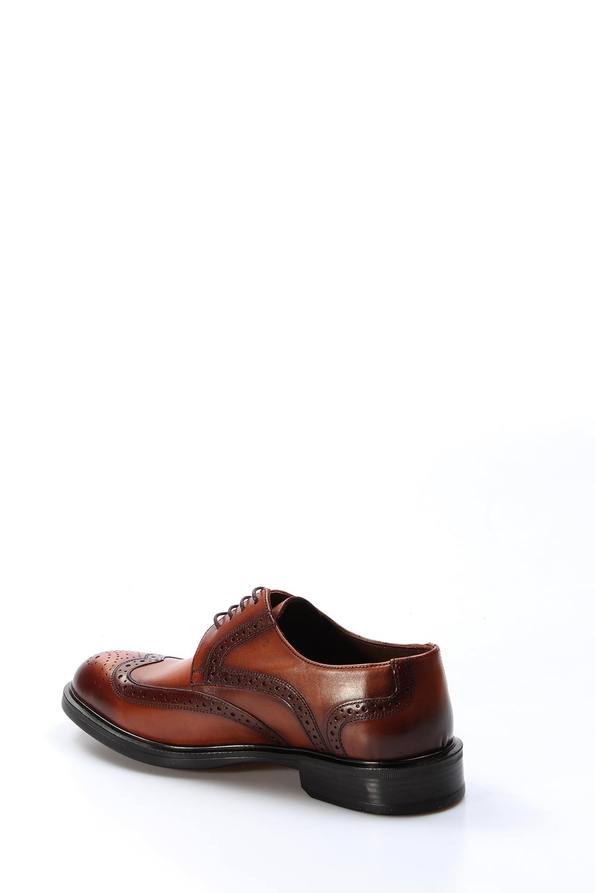 KOALA SYDNEY Men's Classic Brown Leather Brogue Shoes with Wingtip Detailing -