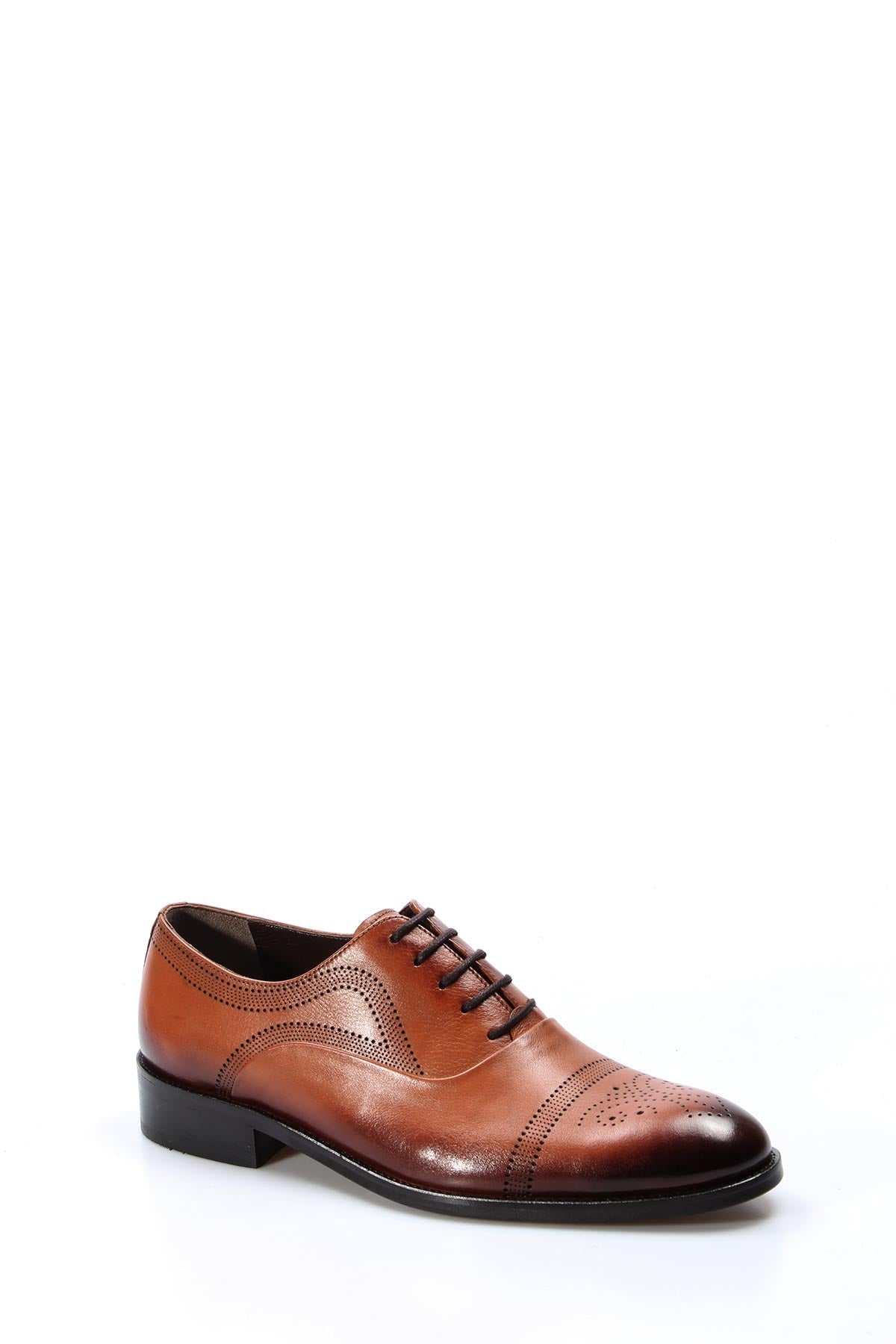 KOALA SYDNEY Men's Brown Leather Oxford Shoes with Perforated Detailing