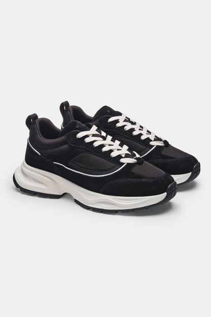 The Reno Runner: Your Ultimate Adventure Companion