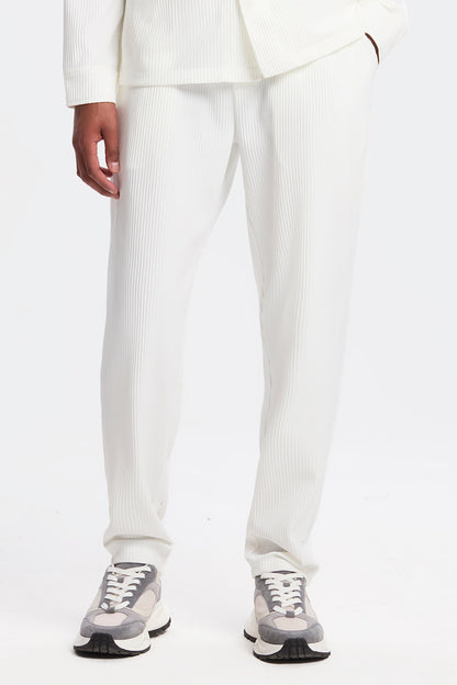 Pleated Trousers