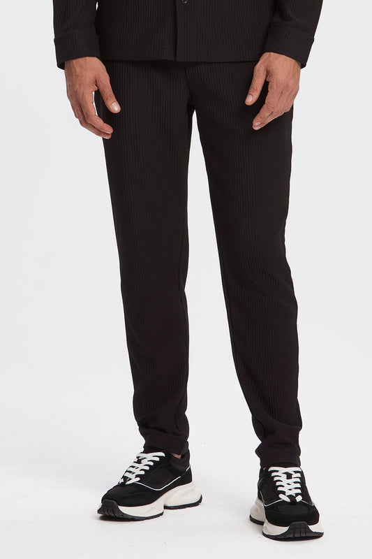 THE PLEATED TROUSERS