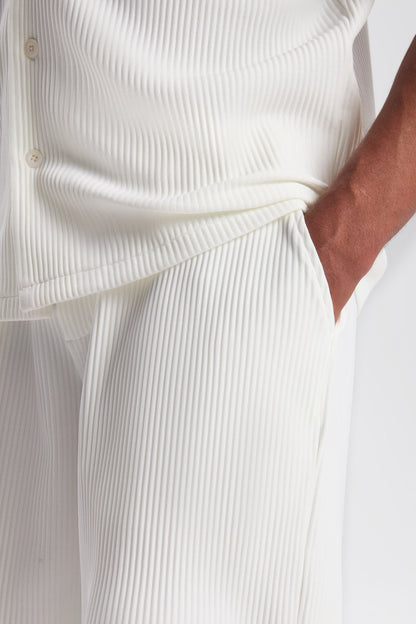 THE PLEATED SHORTS
