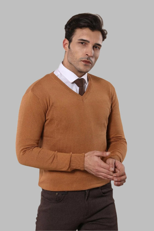 V Neck Brown Sweater