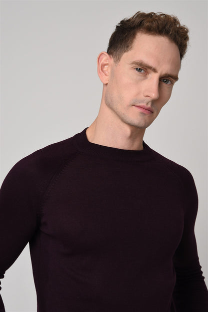 KOALA SYDNEY Men's Dark Damson Crew Neck Slim Fit Knitwear Sweater